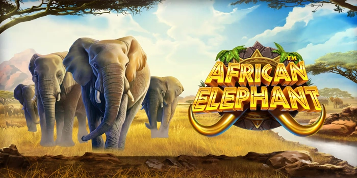 Waktu Gacor Rahasia Slot African Elephant Yang Jarang Dibahas